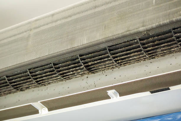 Best Commercial HVAC Duct Cleaning  in Woodland Park, NE